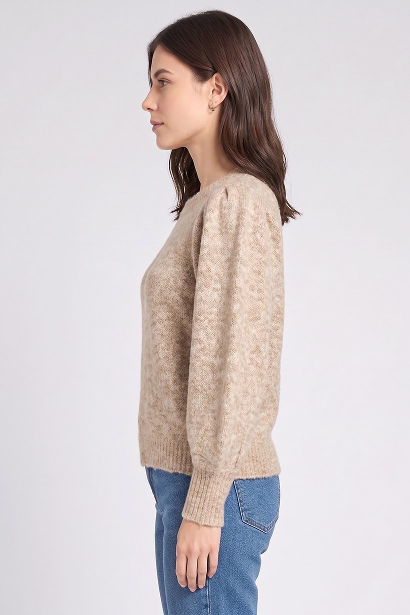 Women Crew Neck Textured Sweater, Tan