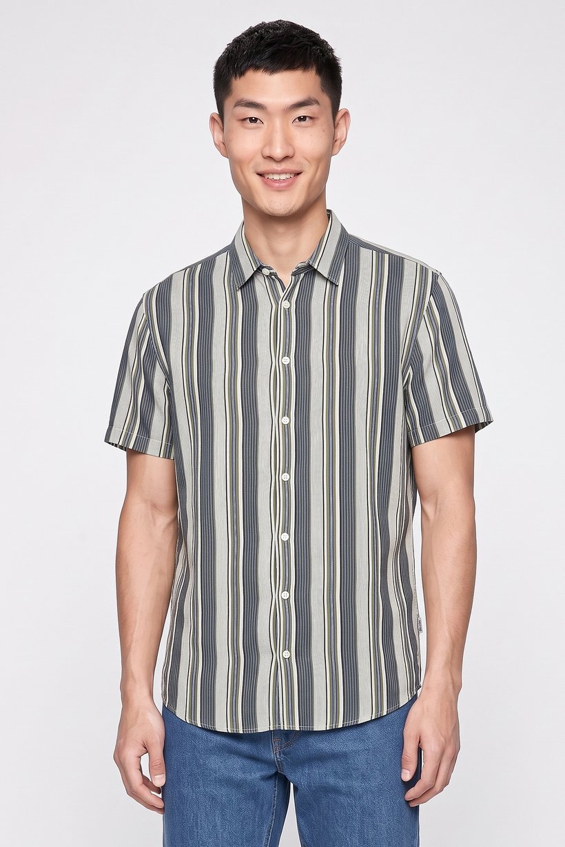 Men Regular Fit Stripe Short Sleeve Casual Shirt, Multicolor