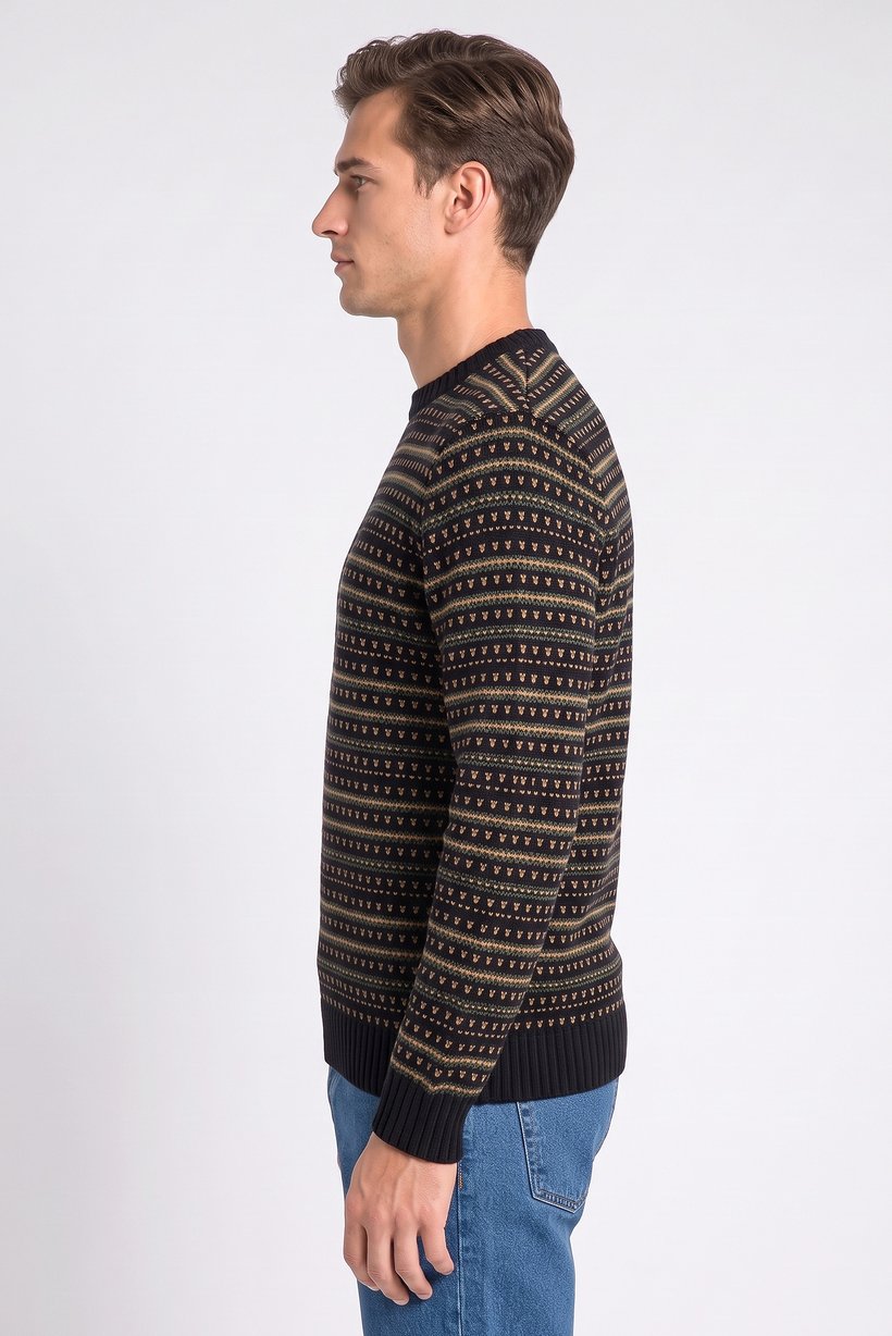 Men Crew Neck Knitted Sweater, Multicolor