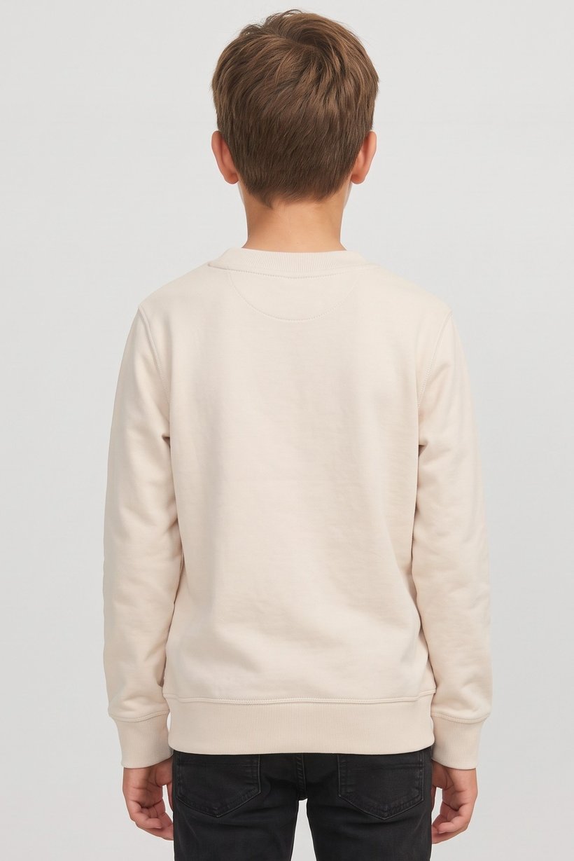 Kids Boys Brand Logo Long Sleeve Sweatshirt, Beige