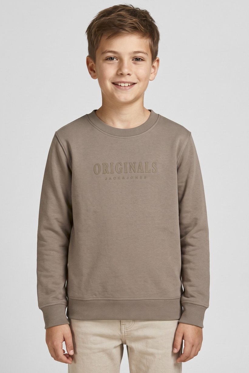 Kids Boy Graphic Printed  Long Sleeve Sweatshirt, Taupe