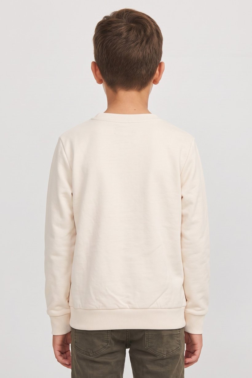 Kids Boy Graphic Print Long Sleeve Sweatshirt, Light Beige