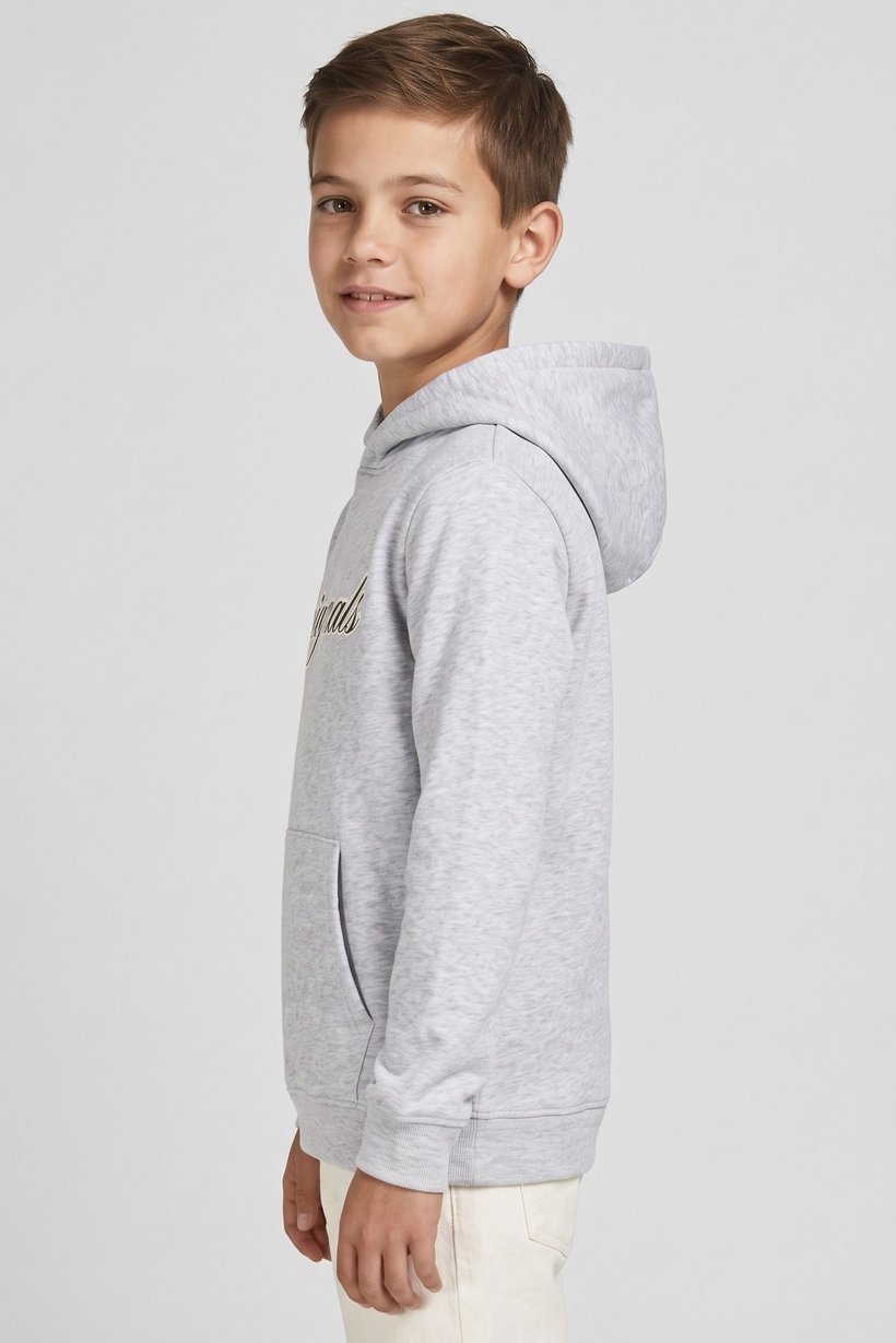 Kids Boy Graphic Printed Long Sleeve Hoodie, Light Grey
