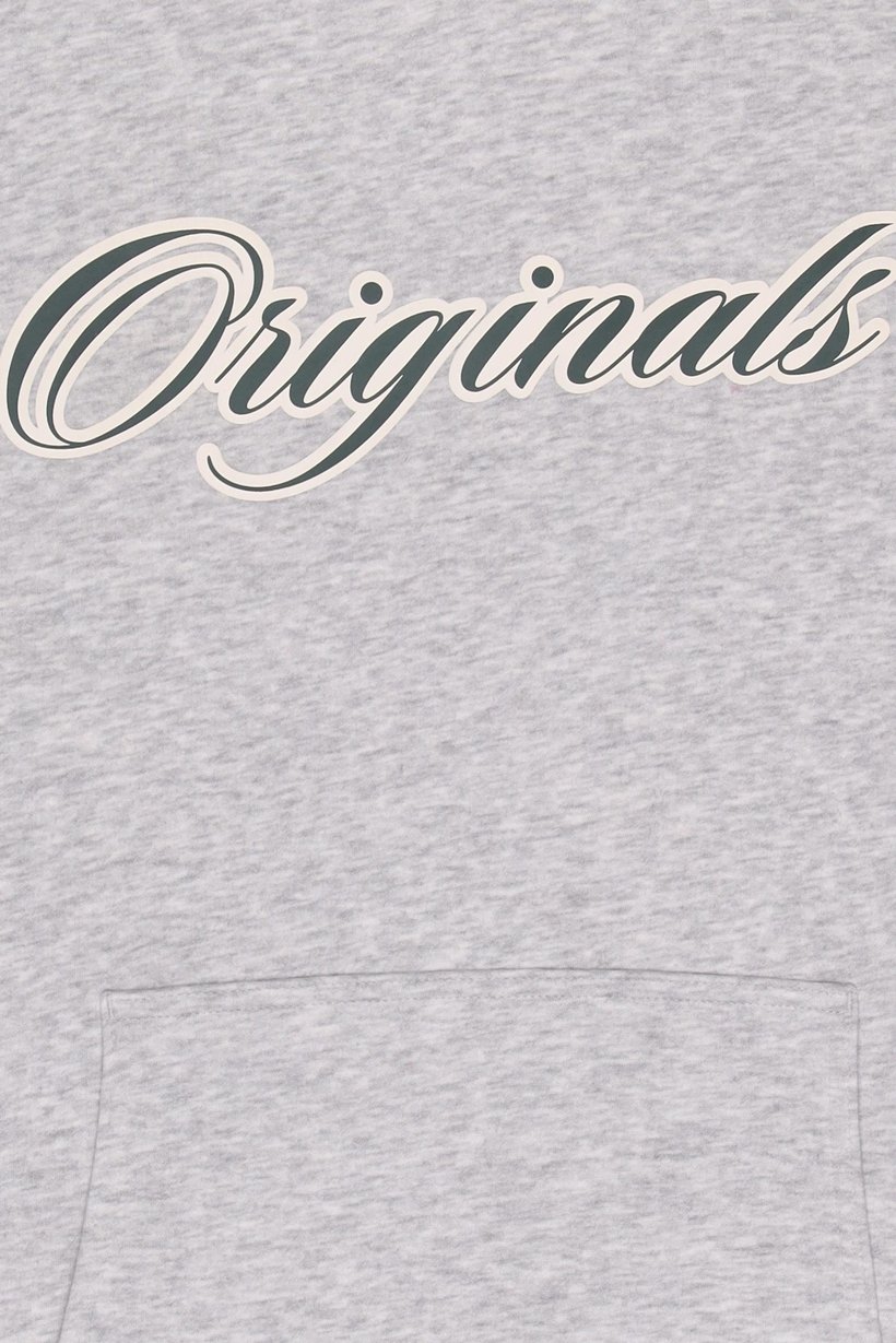 Kids Boy Graphic Printed Long Sleeve Hoodie, Light Grey