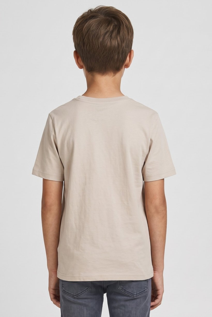 Kids Boy Crew Neck Short Sleeve Graphic Print T-Shirt, Beige