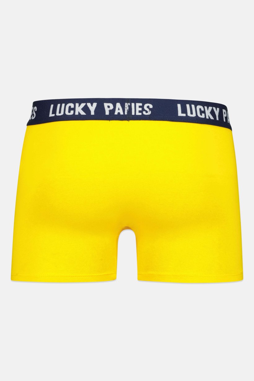 Men 3 Pcs Graphic Print Boxer Briefs, Multicolor
