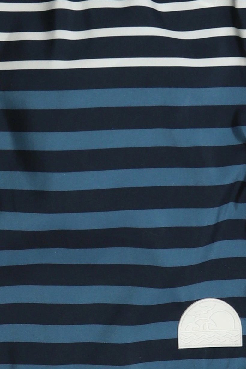 Men Stripe Board Shorts, Multicolor