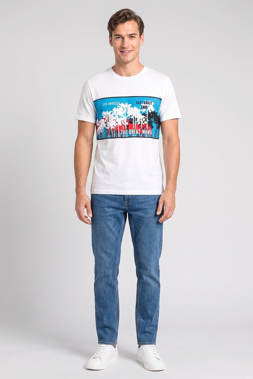 Men Crew Neck Short Sleeve Graphic Print T-Shirt, White