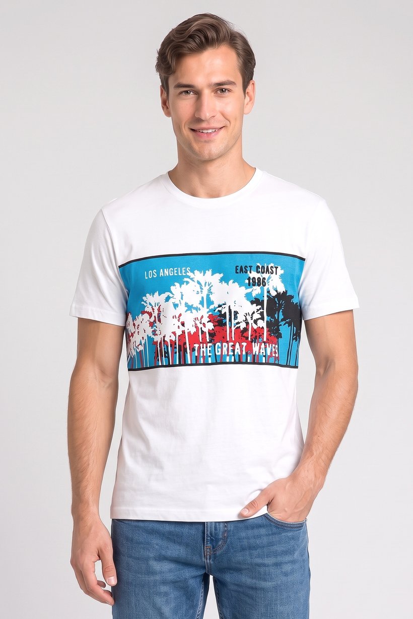 Men Crew Neck Short Sleeve Graphic Print T-Shirt, White