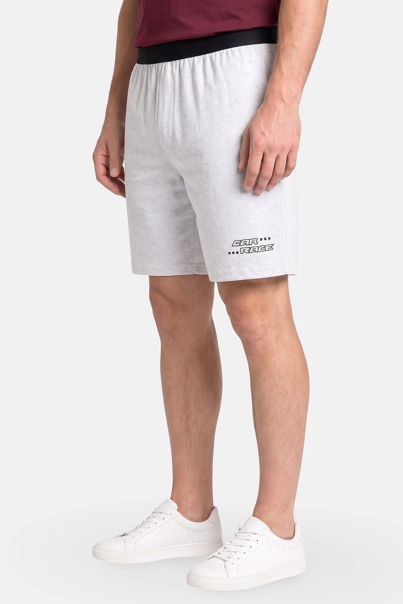 Men 2 Pcs Graphic Print Basic Shorts, Multicolor