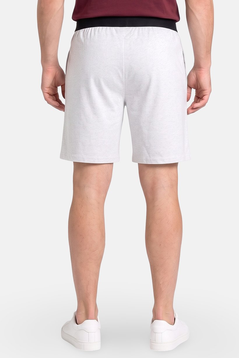 Men 2 Pcs Graphic Print Basic Shorts, Multicolor