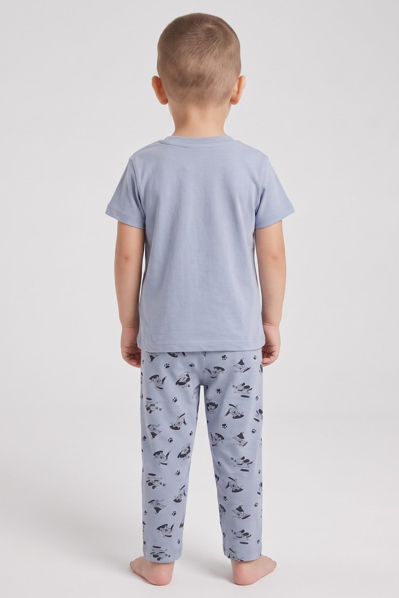 Toddlers Boy 2 Pieces Graphic Print Pajama Set, Multicolor
