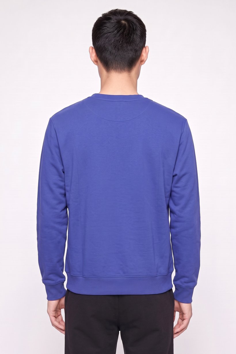 Men Sportswear Fit Long Sleeve Outdoor Sweatshirt, Blue
