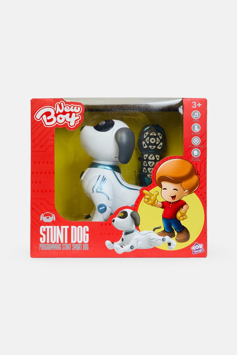 Robot Programming Stunt Smart Dog