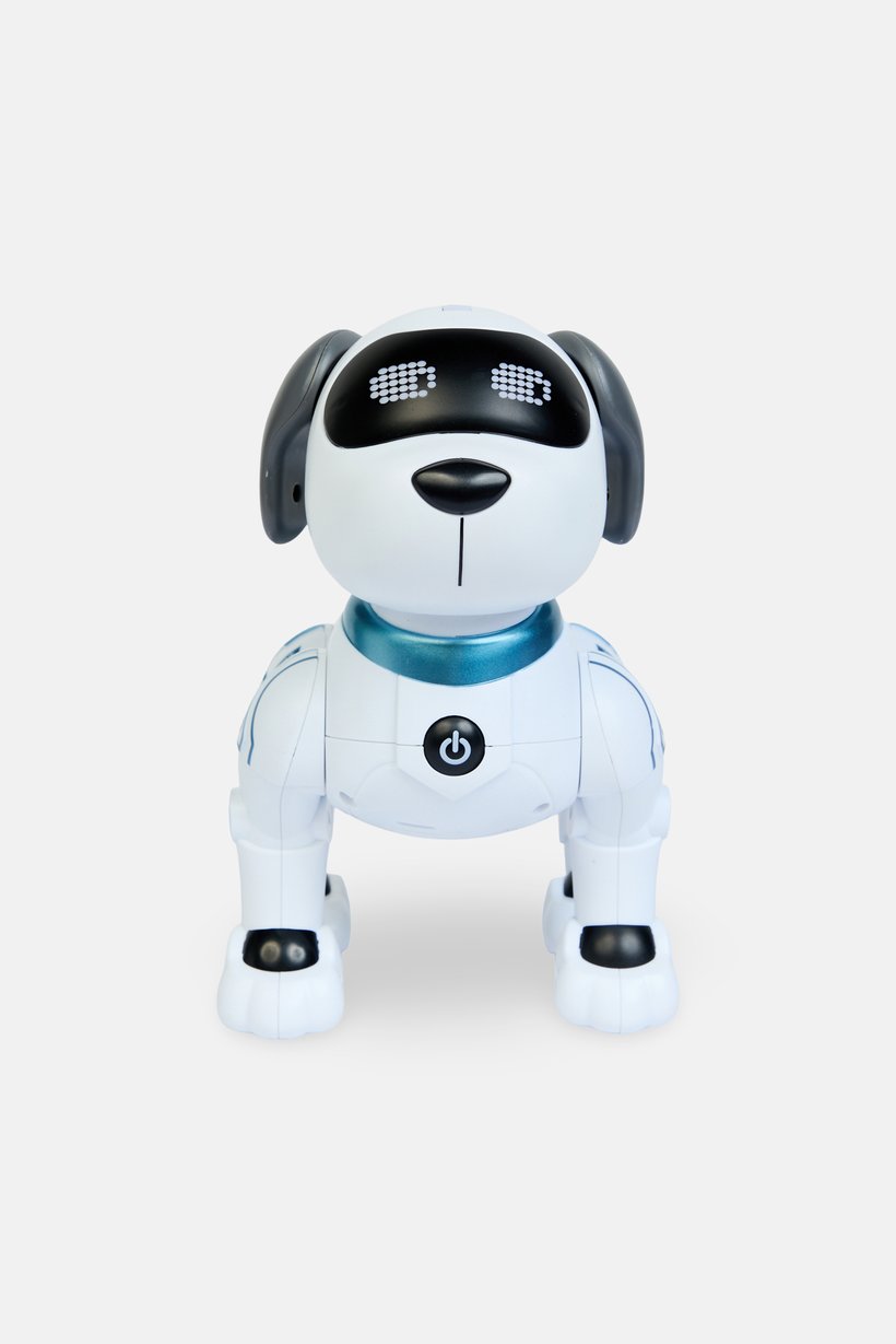 Robot Programming Stunt Smart Dog