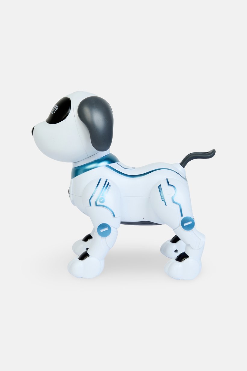 Robot Programming Stunt Smart Dog