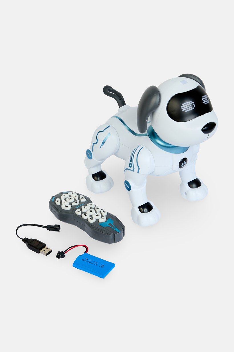 Robot Programming Stunt Smart Dog