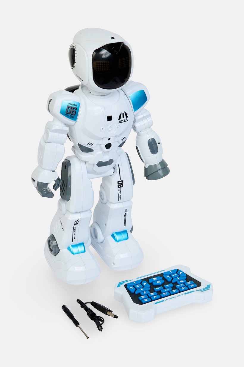 Intelligent Programming Robot
