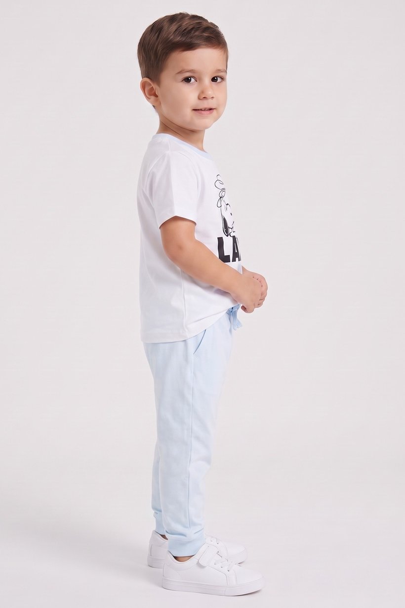 Toddlers Boy 2Pcs Short Sleeve Top And Jogger Pants Set, Multicolor