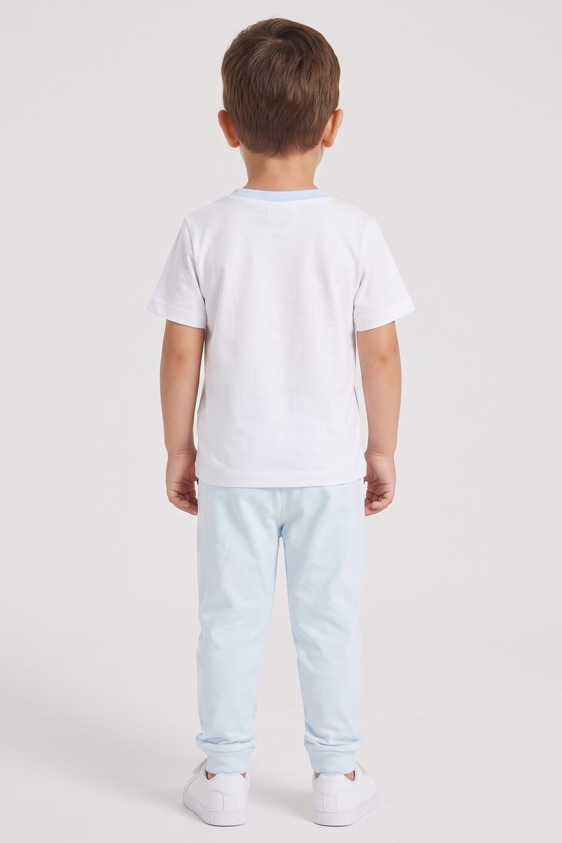 Toddlers Boy 2Pcs Short Sleeve Top And Jogger Pants Set, Multicolor