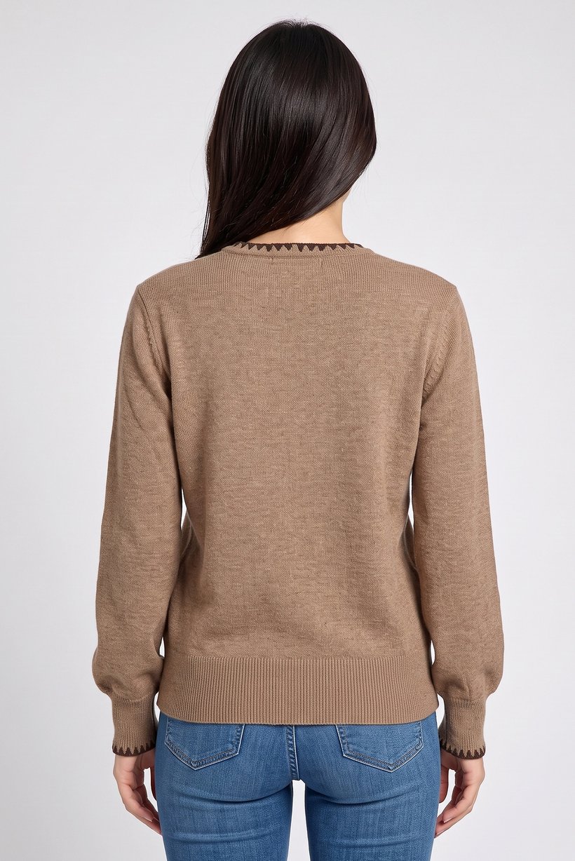 Women Crew Neck Plain Sweater, Brown