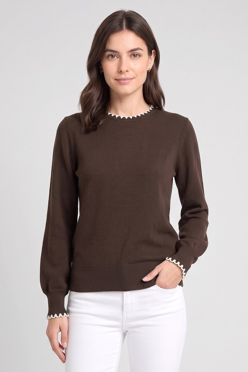 Women Crew Neck Plain Sweater, Dark Brown