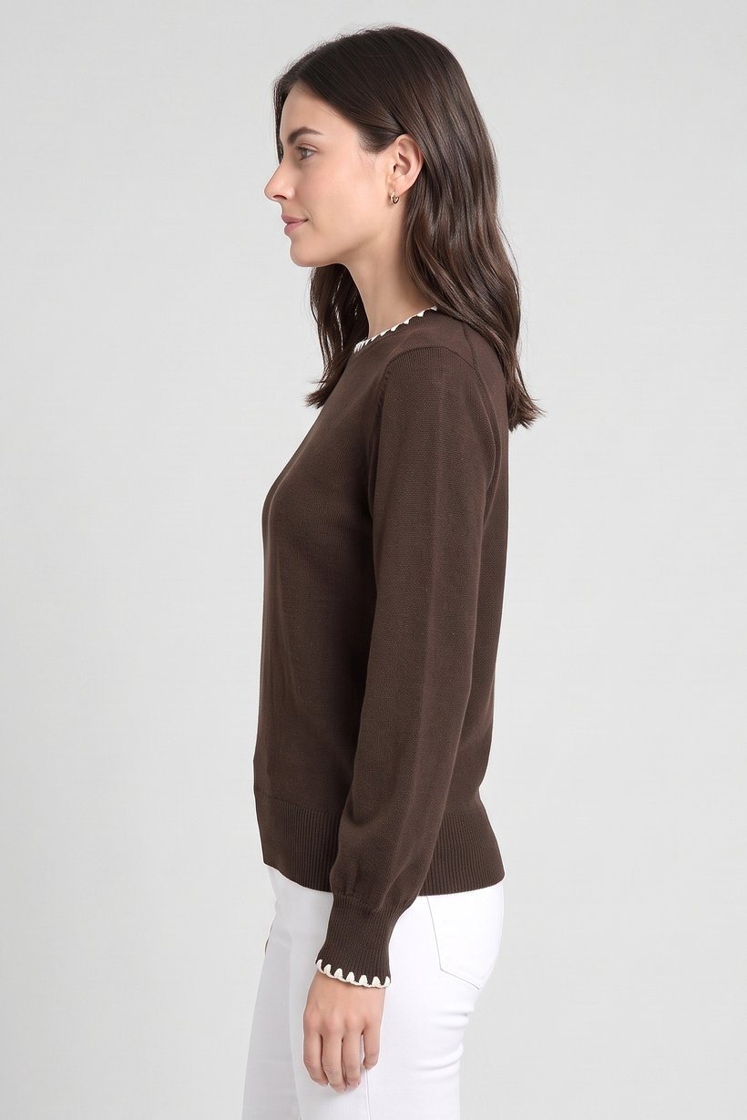 Women Crew Neck Plain Sweater, Dark Brown