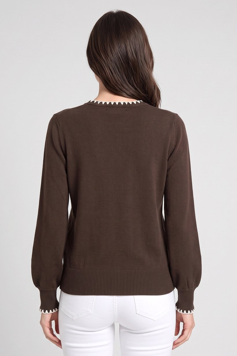 Women Crew Neck Plain Sweater, Dark Brown
