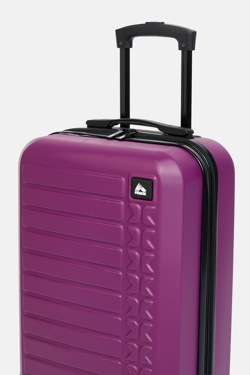 20 Inch Expandable Hard-Shell Check-In Spinner Luggage, Dark Purple
