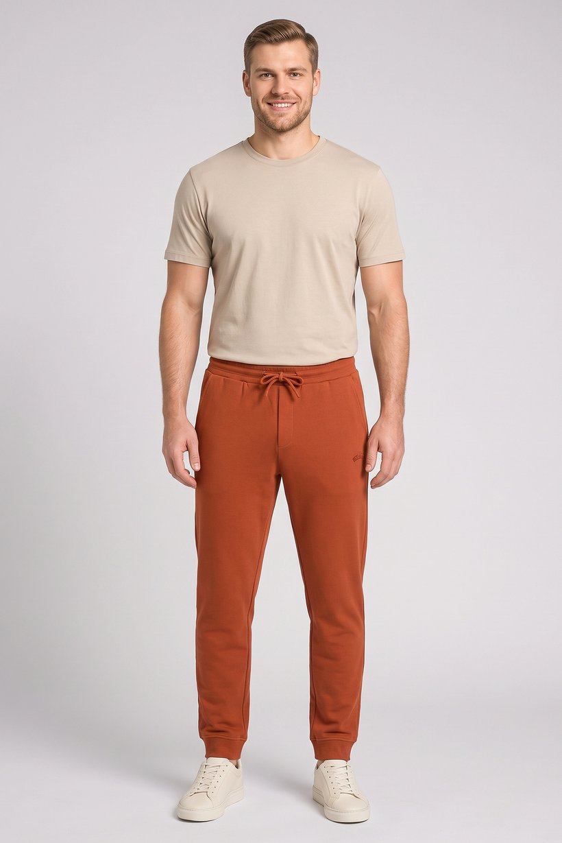 Men Regular Fit Solid Jogger Pants, Rust