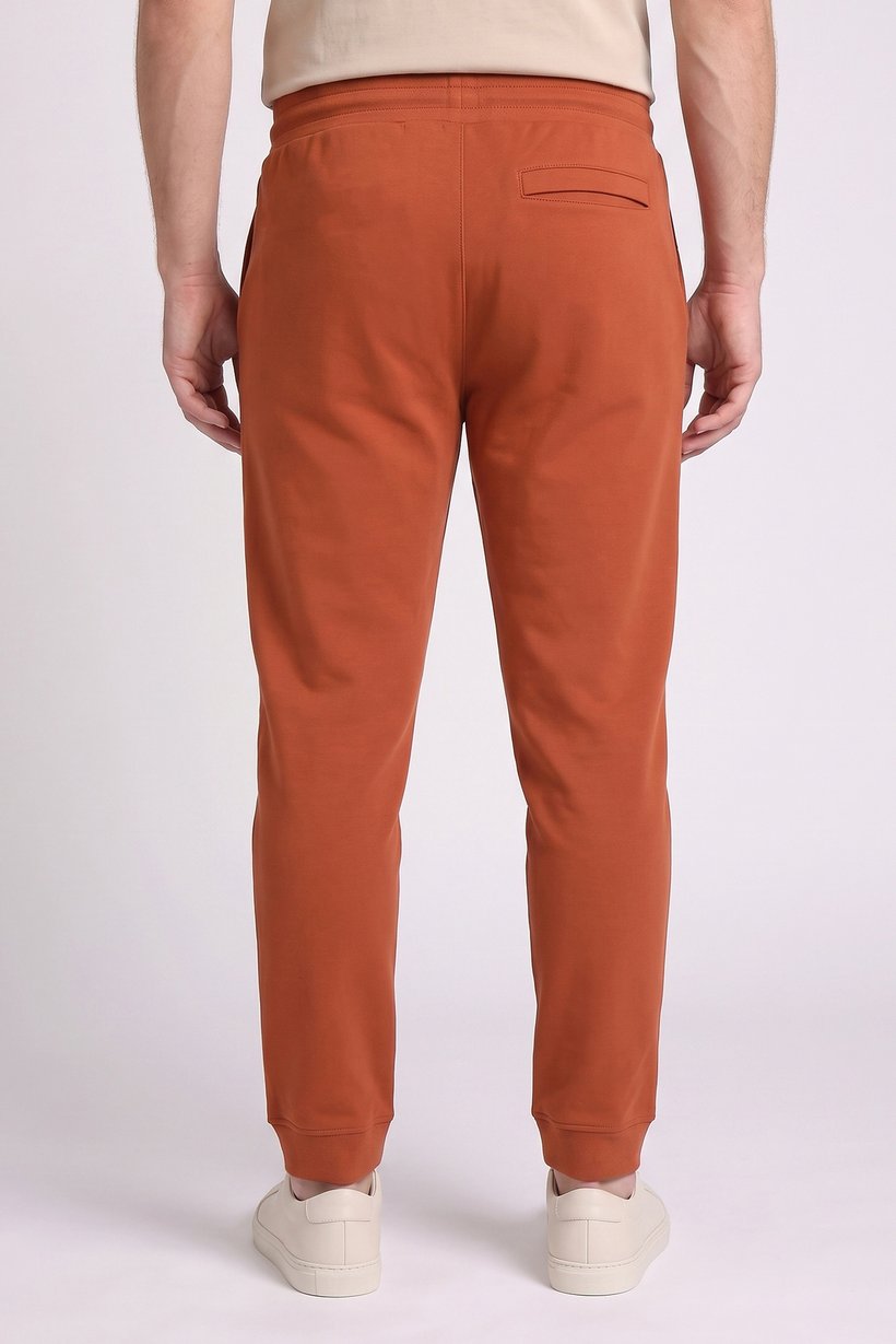 Men Regular Fit Solid Jogger Pants, Rust