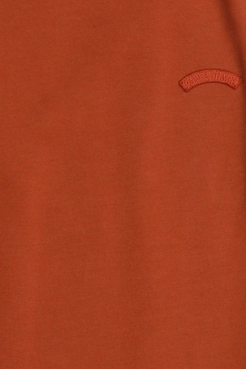 Men Regular Fit Solid Jogger Pants, Rust
