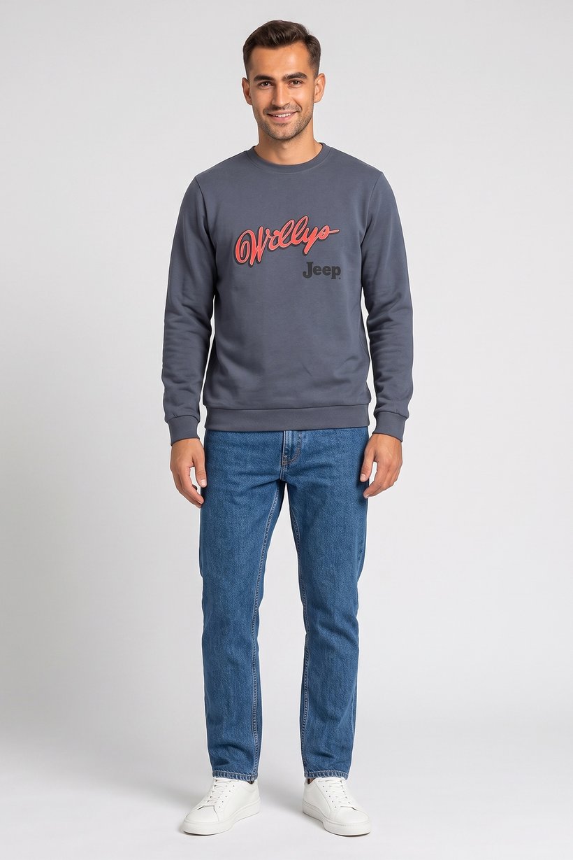 Men Crew Neck Long Sleeve Brand Logo Sweatshirt, Grey