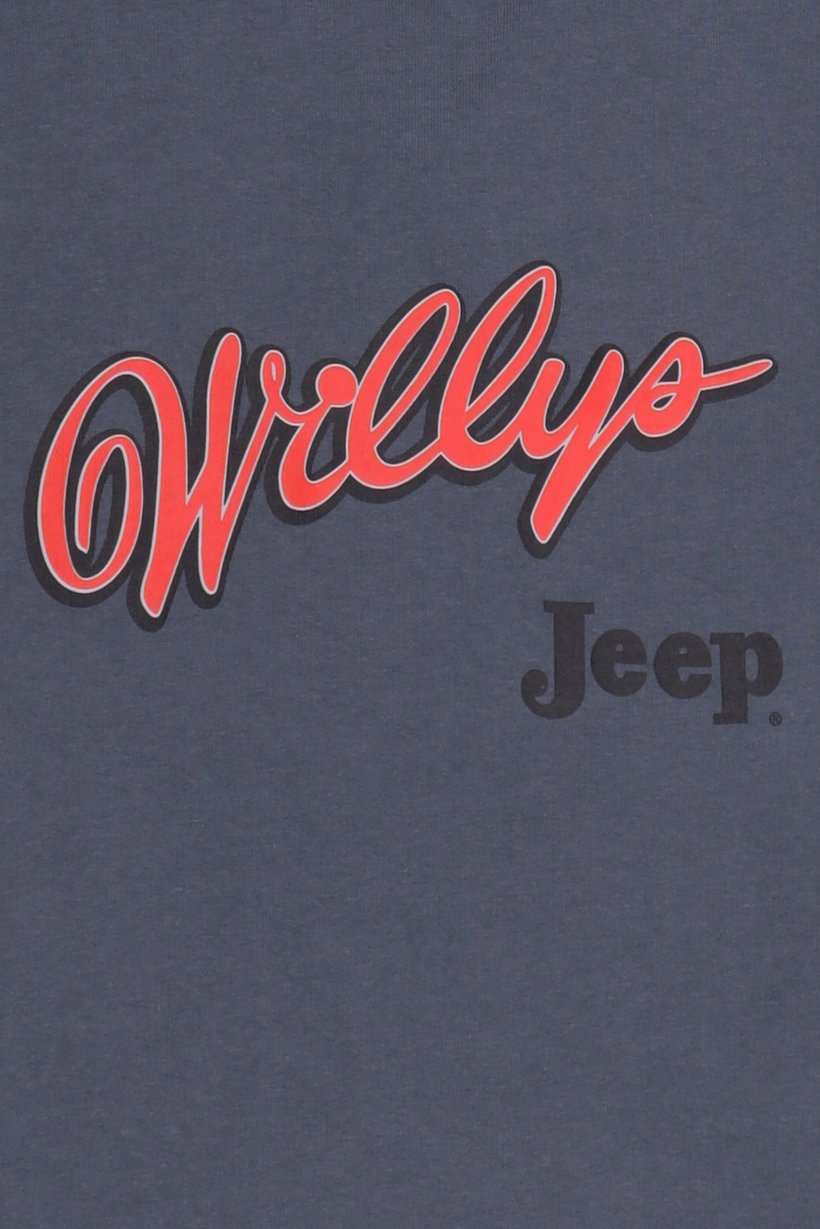 Men Crew Neck Long Sleeve Brand Logo Sweatshirt, Grey