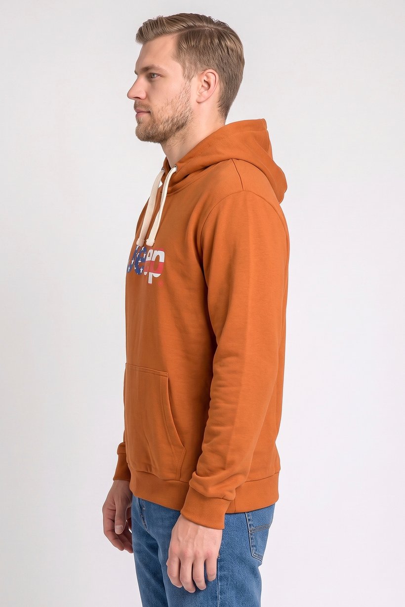 Men Graphic Print Long Sleeve Hoodie, Brown