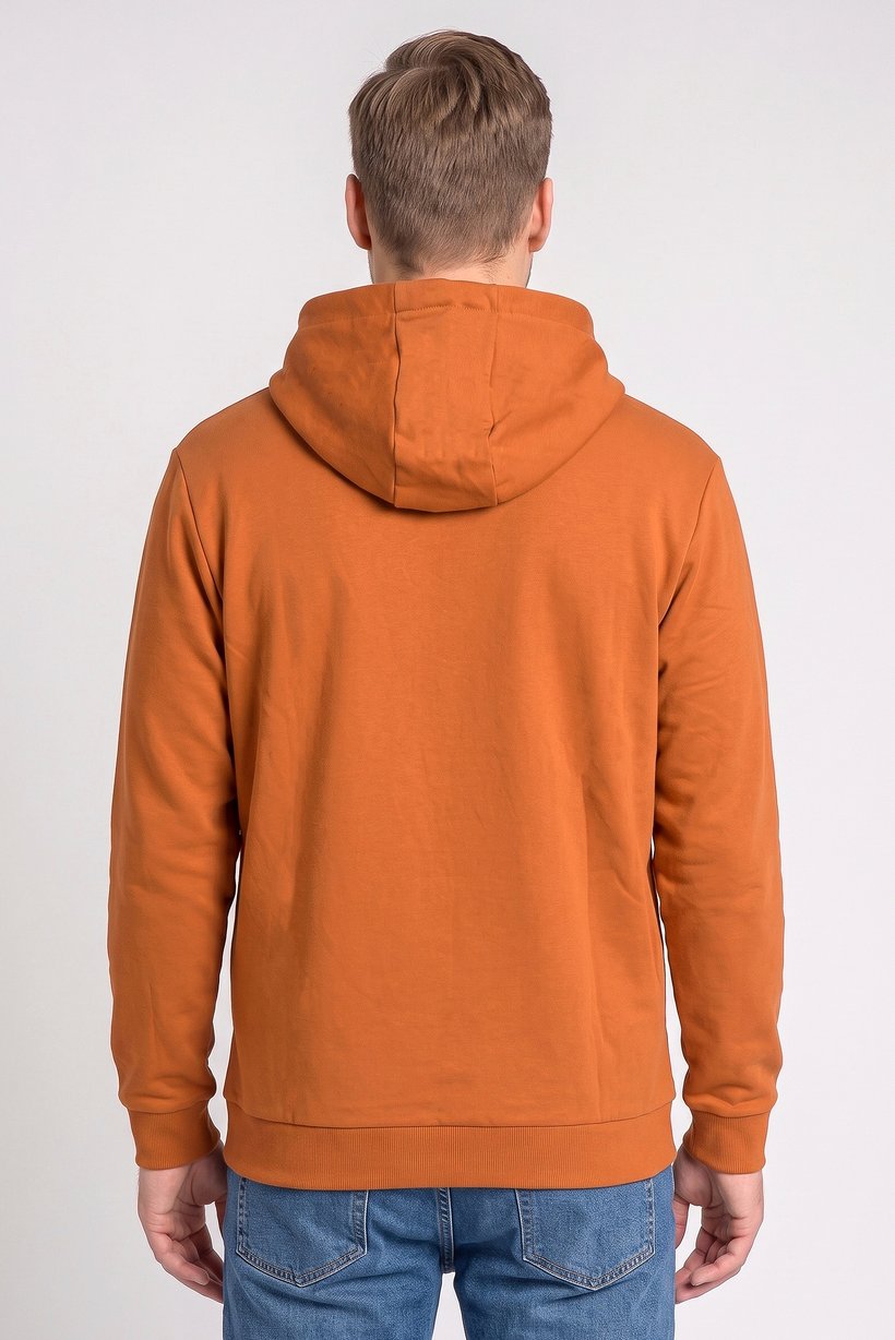 Men Graphic Print Long Sleeve Hoodie, Brown