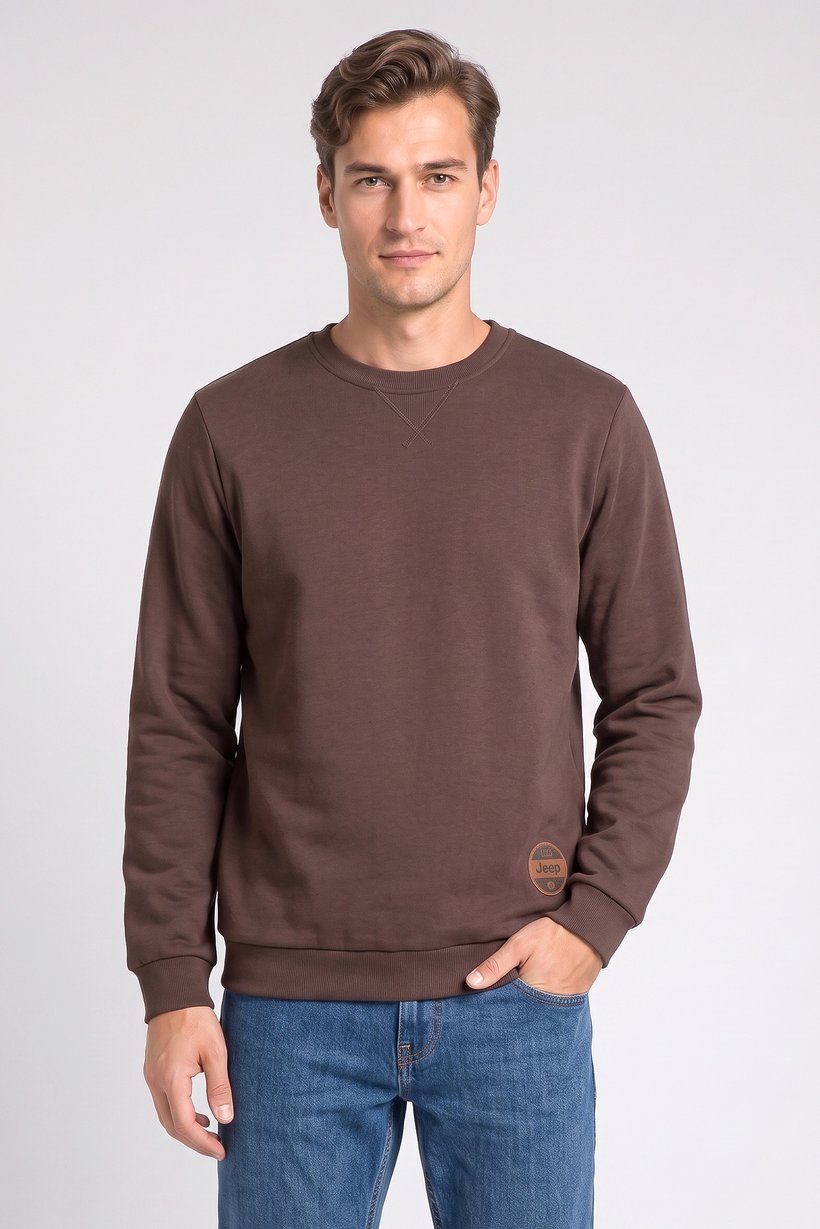 Men Crew Neck Long Sleeve Plain Sweatshirt, Dark Brown