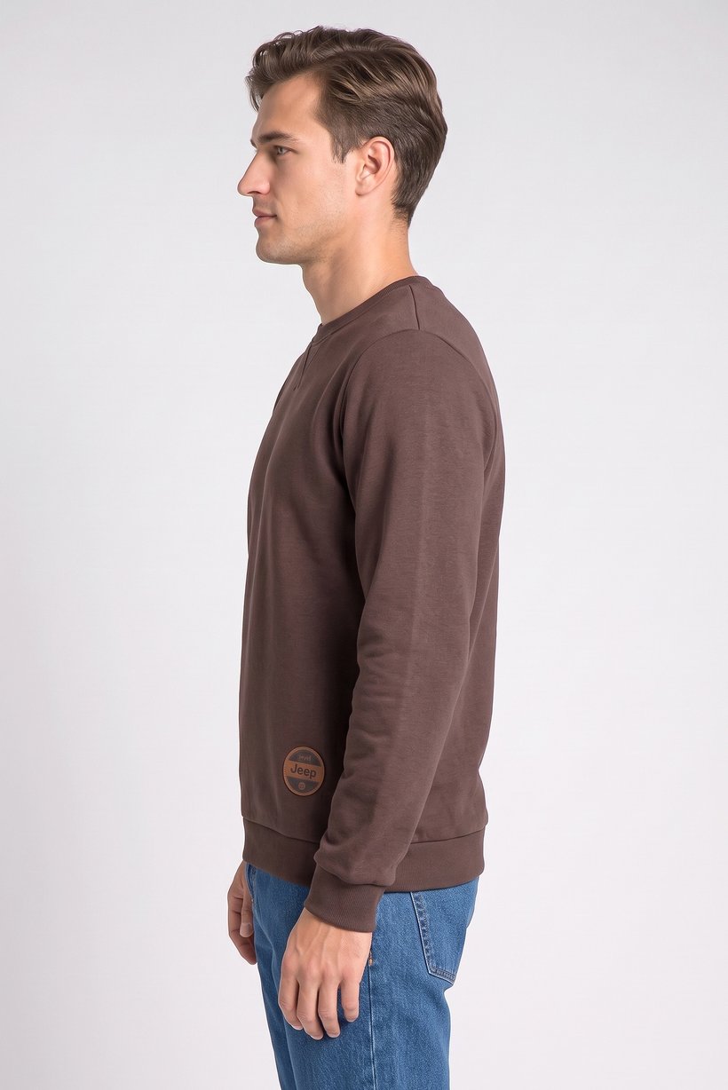 Men Crew Neck Long Sleeve Plain Sweatshirt, Dark Brown