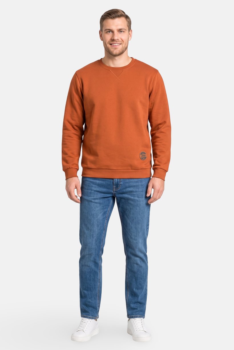 Men Brand Logo Long Sleeve Sweatshirt, Rust