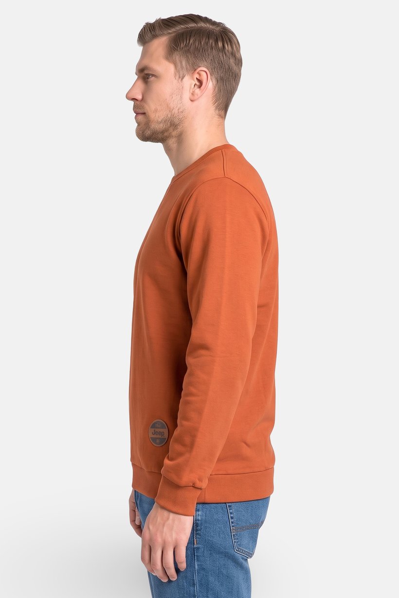 Men Brand Logo Long Sleeve Sweatshirt, Rust