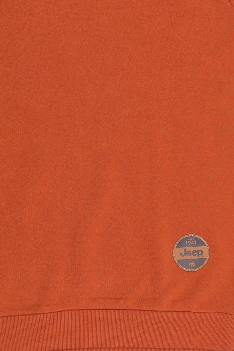 Men Brand Logo Long Sleeve Sweatshirt, Rust
