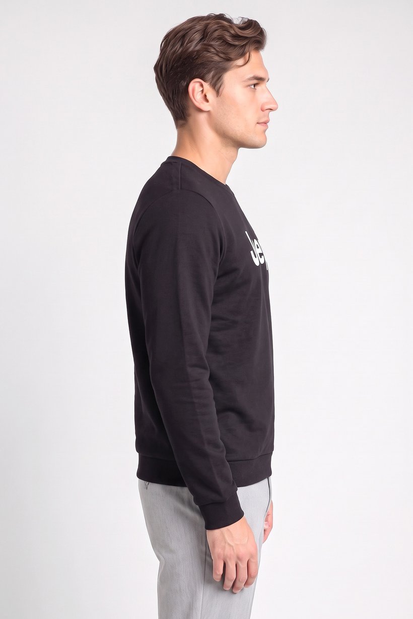 Men Crew Neck Graphic Print Long Sleeve Sweatshirt, Black