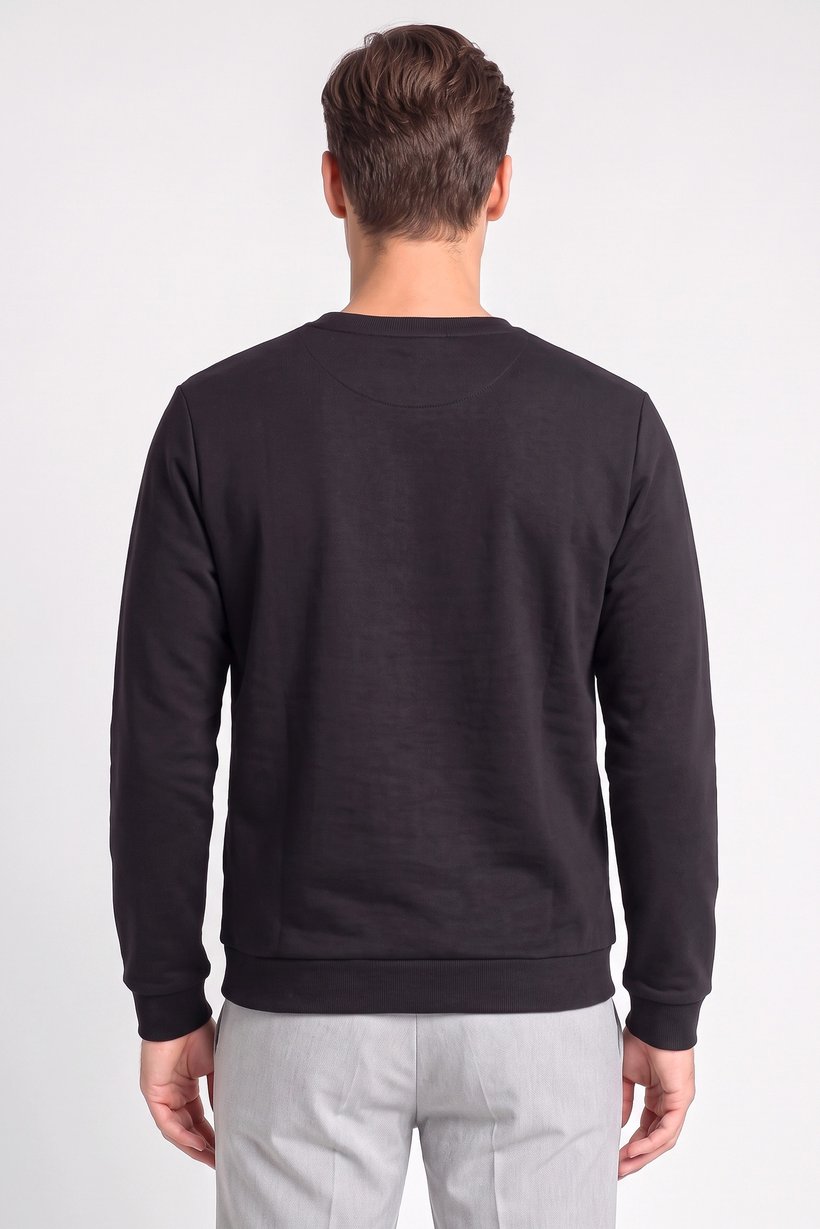 Men Crew Neck Graphic Print Long Sleeve Sweatshirt, Black