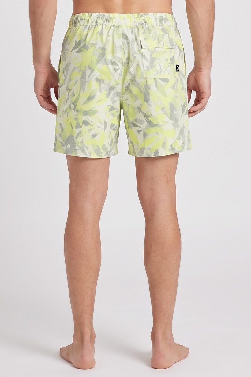Men Regular Fit Board Short, Multicolor
