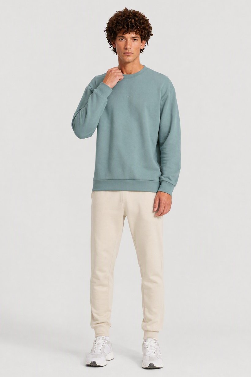 Men Boxy Fit Long Sleeve Outdoor Sweatshirt, Sage Green
