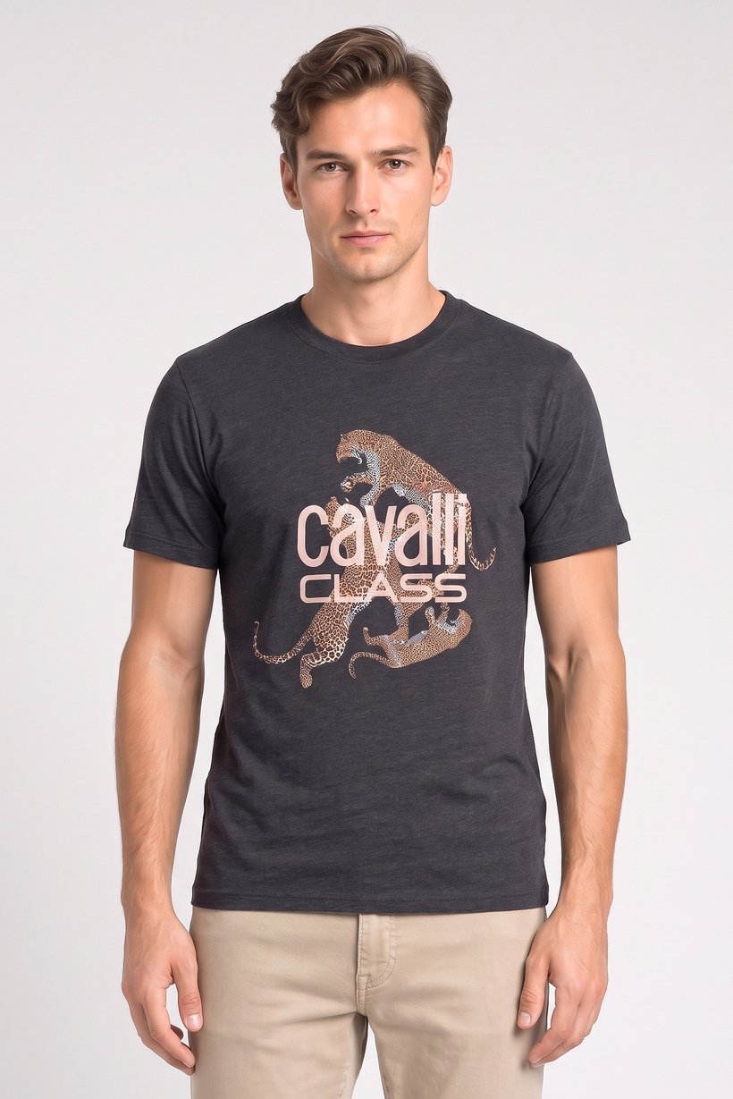 Men Crew Neck Graphic Print Short Sleeve T-Shirt, Dark Grey