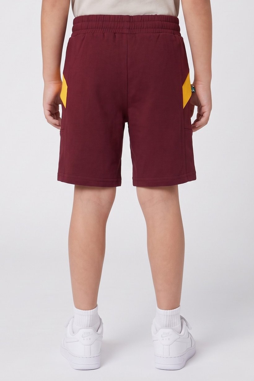 Toddlers Boy Sportswear Fit Outdoor Shorts, Maroon