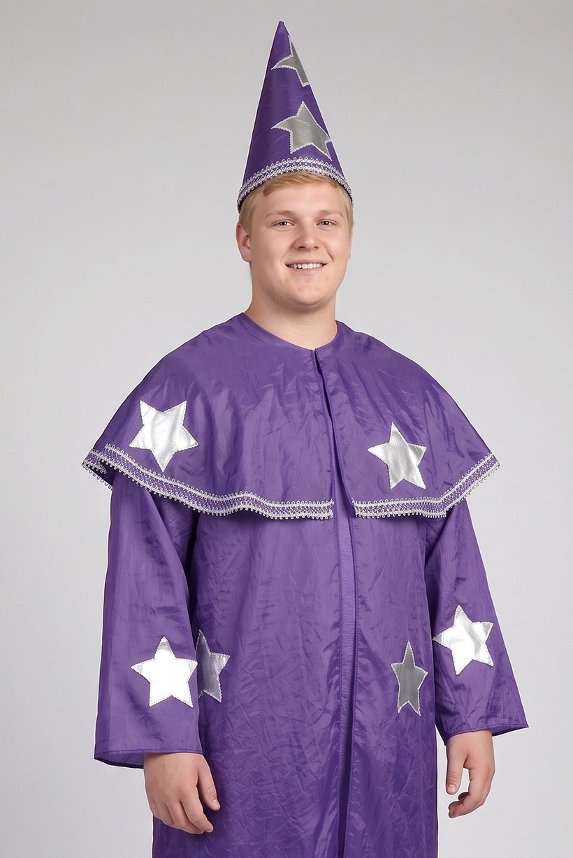 Men Will Wizard Costume, Purple