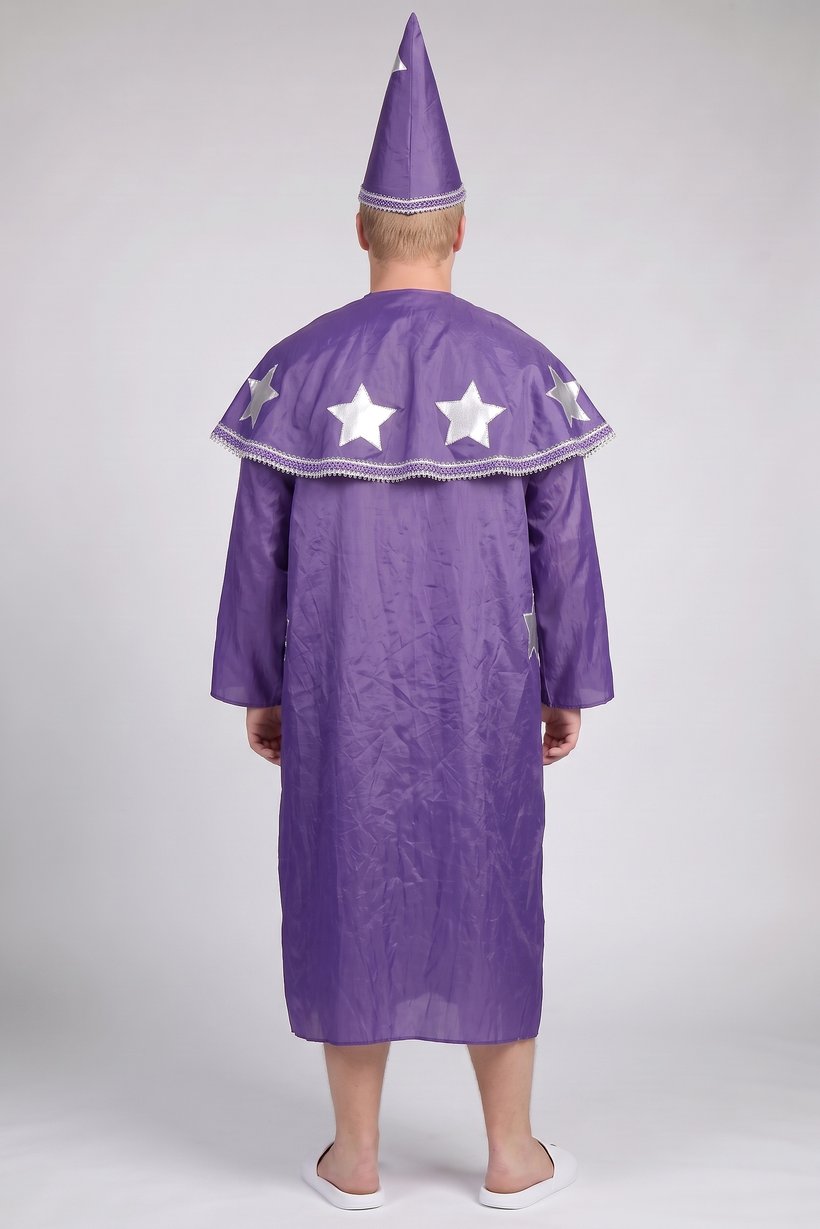 Men Will Wizard Costume, Purple