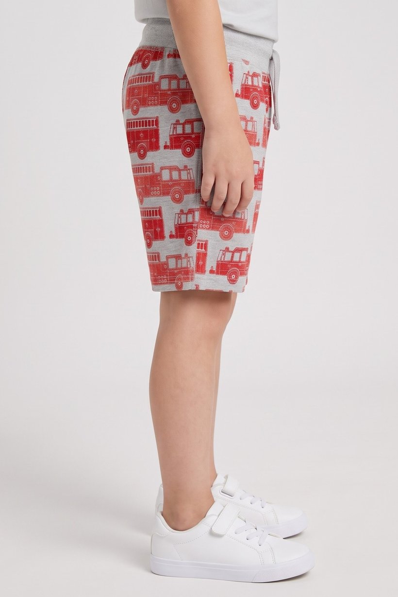 Kids Boy Graphic Print Basic Shorts, Multicolor